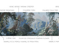 Papier peint panoramique L'Eden bleu forêt . 1861