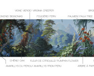 Papier peint panoramique L'Eden polychrome . 1861