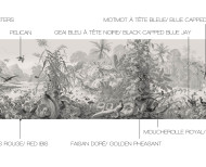 Papier peint panoramique Le Brésil monochrome . 1862