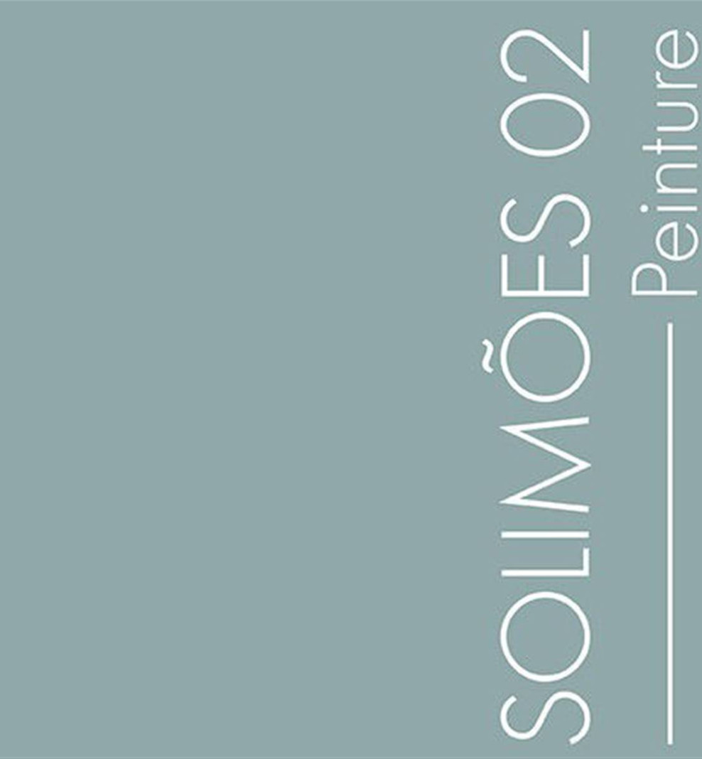 Peinture murs La Premium • Solimoes 02