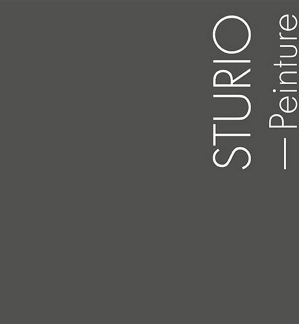 Peinture boiseries L'Extra • Sturio • 2,5 Litres