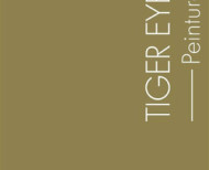 Peinture boiseries L'Extra • Tiger Eye