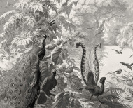 Panoramique Le Brésil monochrome . 1862