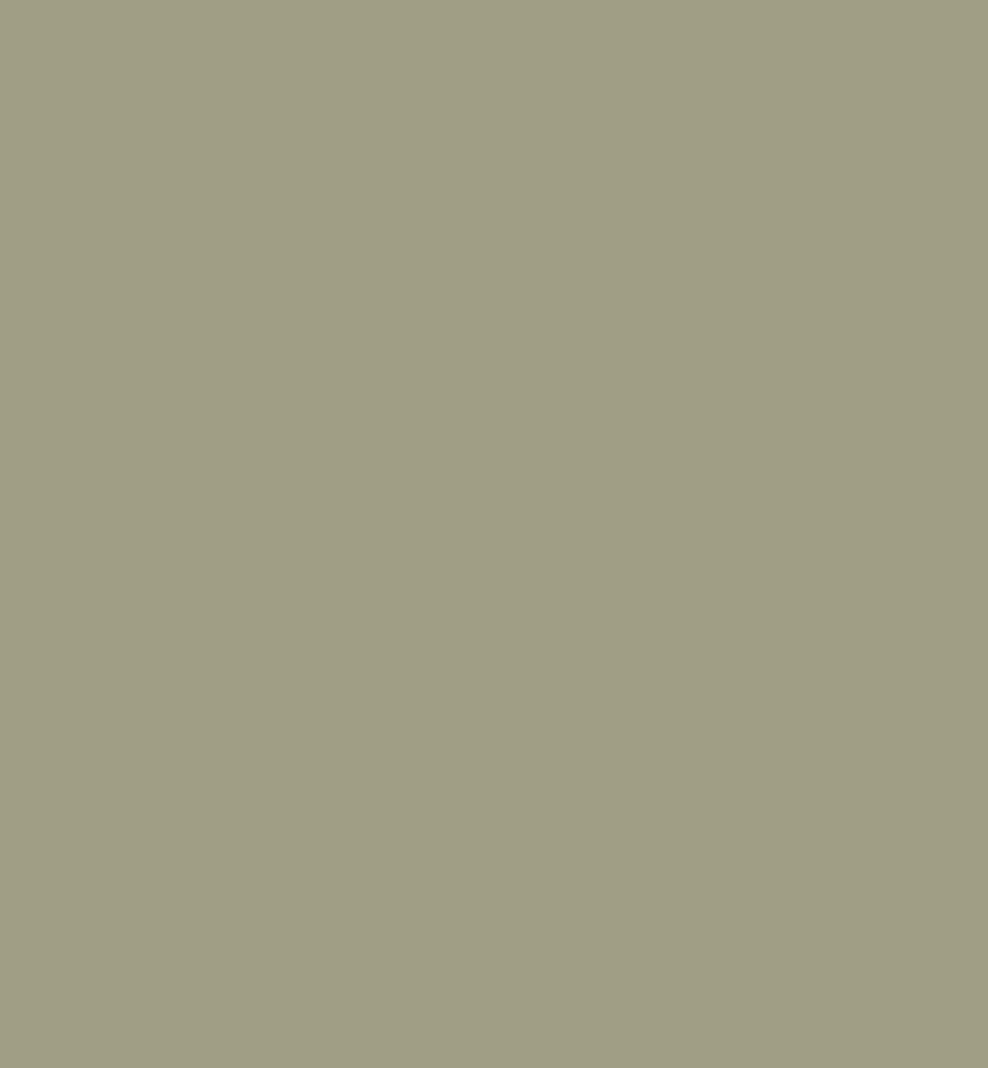 Peinture boiseries L'Extra • Laurier
