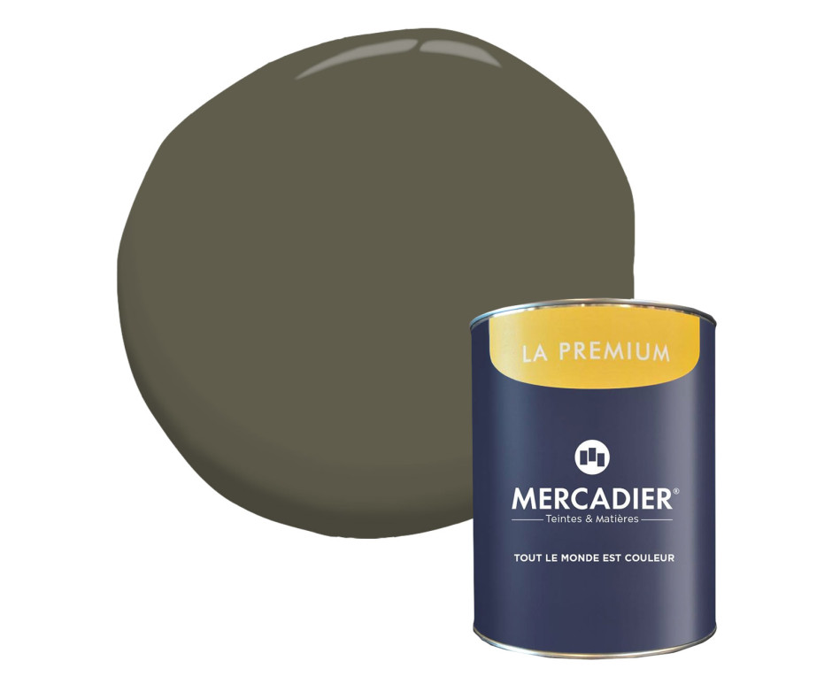 Peinture murs La Premium • Solimoes