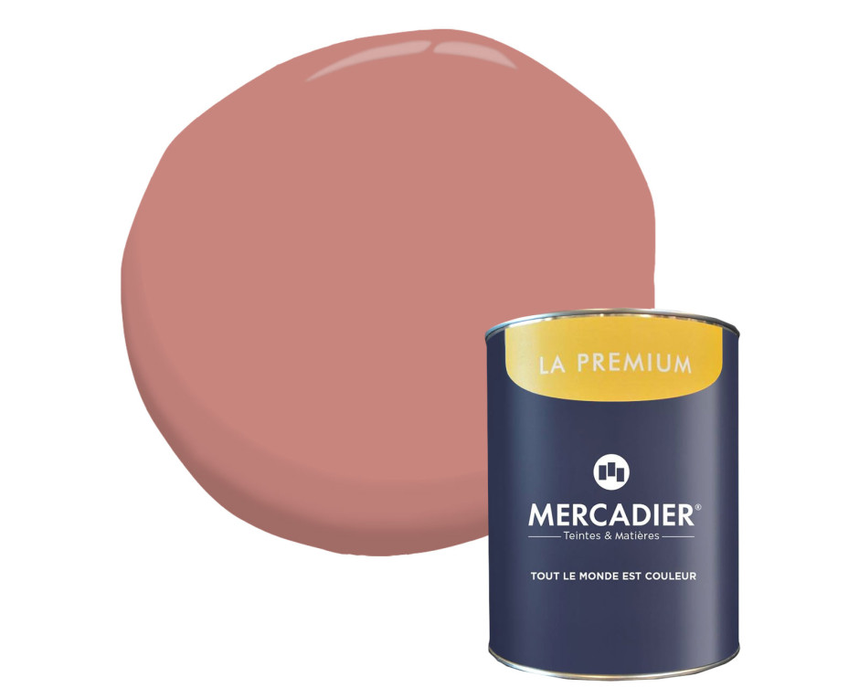 Peinture murs La Premium • Tataouine