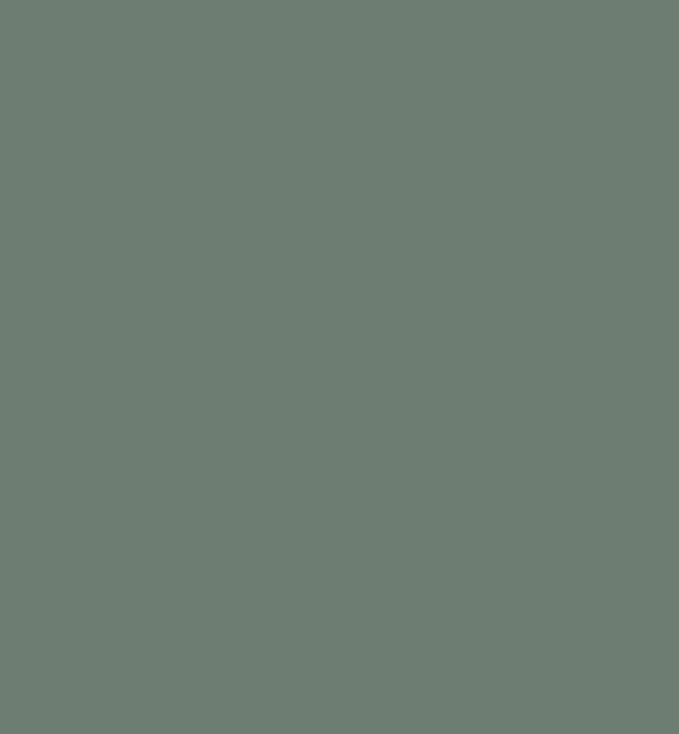 Peinture boiseries L'Extra • Figuier