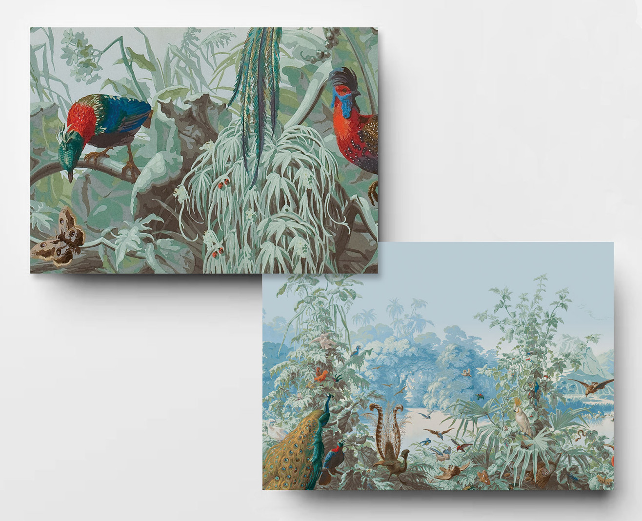 Panoramique Le Brésil polychrome . 1862