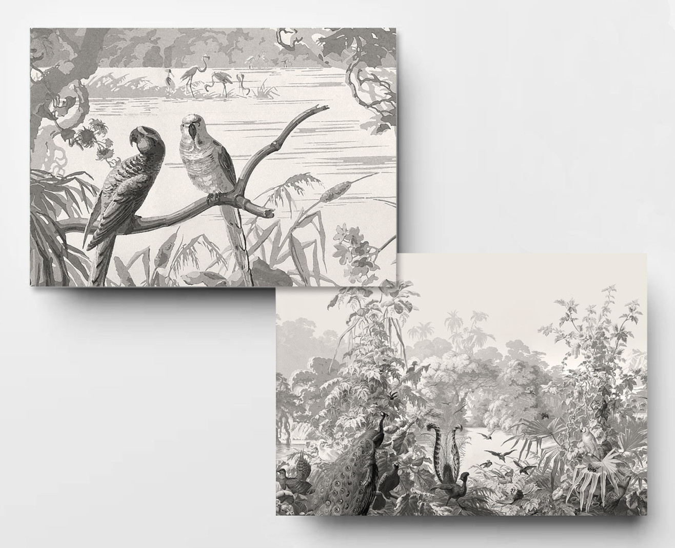 Panoramique Le Brésil monochrome . 1862