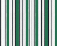 Wallpaper green Imperial stripes . 1800